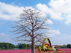 -海珠湖公园