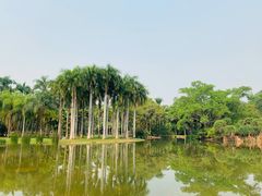 -中国科学院西双版纳热带植物园