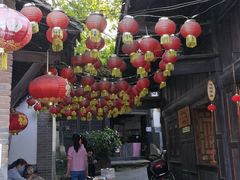 -后柳水乡