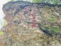 -大连冰峪旅游度假区