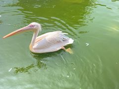 -大连老虎滩海洋公园