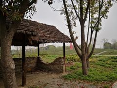 -同里国家湿地公园
