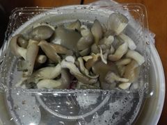 -蝎王府羊蝎子(北大地店)