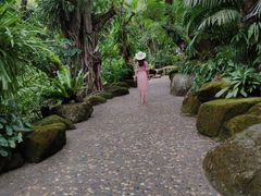 -绿光森林餐厅