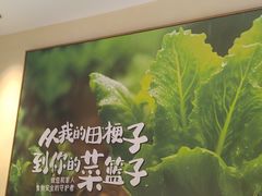 -杨厨的田园饭店(长城路店)