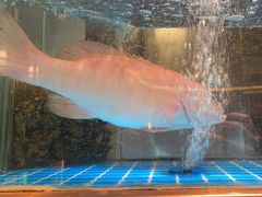 -ONE FULL 古董港式海鲜火锅