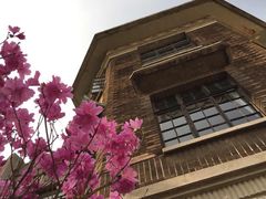 大可堂普洱茶馆(襄阳南路馆)-大可堂普洱茶馆(襄阳南路馆)