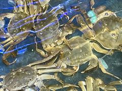 -蟹小姐节气生鲜·年货(高新店)