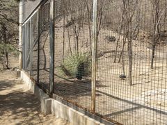 -石家庄市动物园