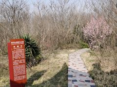 -冶山国家矿山公园