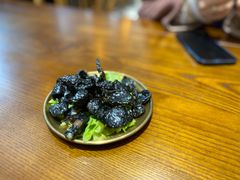 -肥朵食堂(带梦胡同店)