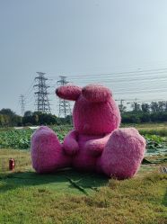 -268童话露营营地·烧烤·团建