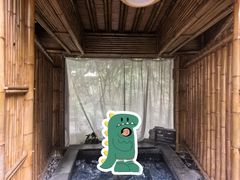 -海口观澜湖火山温泉谷