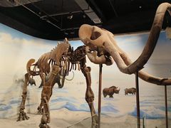 -辽宁古生物博物馆