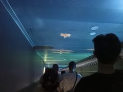 -白鹤梁水下博物馆