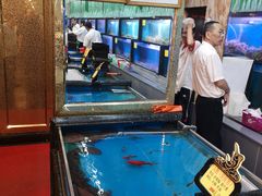-万宝海鲜舫(劳动公园店)