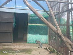 -昆明动物园