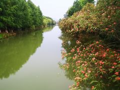 -苏州太湖国家湿地公园