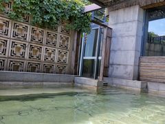 -春晖园度假酒店温泉