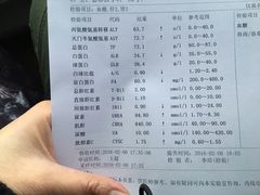 -荣耀金沙动物医院(清江西路店)