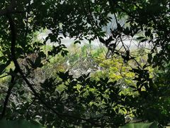 -大湾区中央湿地公园