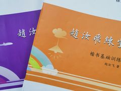 -赵汝飞练字硬笔书法(静安大融城校区)