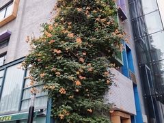 -不相离盐帮菜(郎园店)