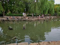 -西苑公园