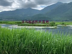-腾冲北海湿地