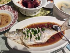 -金美华轩(东方路齐鲁店)