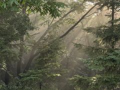 -吉林拉法山