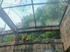 -南昌动物园