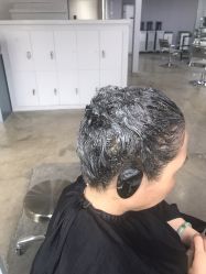 点击看大图 -小左沙龙