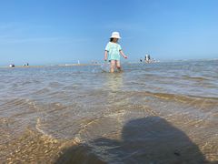 -日照海滨国家森林公园