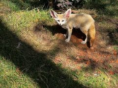 -深圳野生动物园