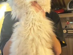 -白兔子密室(长寿路店)