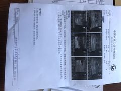 -北京赛佳动物医院