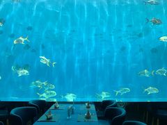 -瑞德姆美人鱼海底演艺主题餐厅(亚龙湾店)