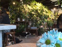 -自由生长植物工作室(深港花卉中心店)