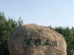 -庞各庄西瓜蔬菜采摘园·锦华瓜园