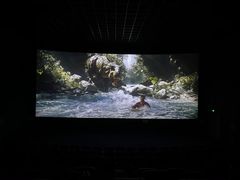 -幸福蓝海国际影城(崇安寺T12店)