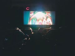 -枫花园汽车电影院(朝阳公园店)