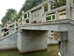 -金花茶公园
