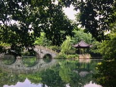 -西湖外事游船(花港观鱼码头)