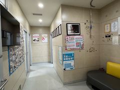 -谐和益家动物医院·免疫绝育·血液透析·宠保定点医院(高新伊藤分院)