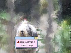 -趣玩宠物乐园寄养训犬训狗游泳池