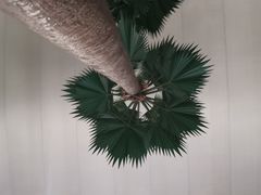 -曼谷素万那普国际机场