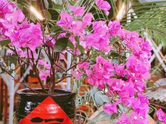-农厨好味·温泉鹅·农家菜