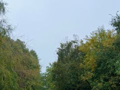 -上海怡沁园度假酒店