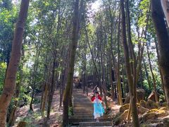 -火炉山森林公园